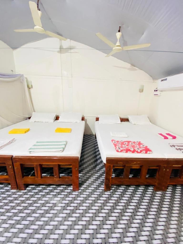 Tent Cressida Cyrus Palolem Rom bilde